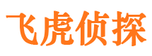 阆中侦探公司